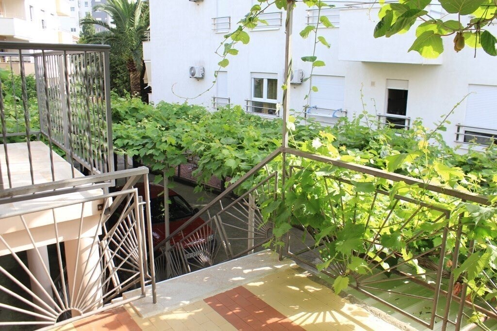 Фотография Danica Franeta 3*